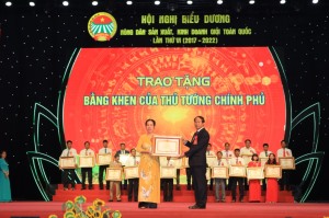 Quảng Ninh có một nông dân sản xuất kinh doanh giỏi được nhận bằng khen của Thủ tướng