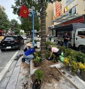 Phường Hồng Gai thực hiện Đề án “ Hạ Long - Thành phố của hoa”"